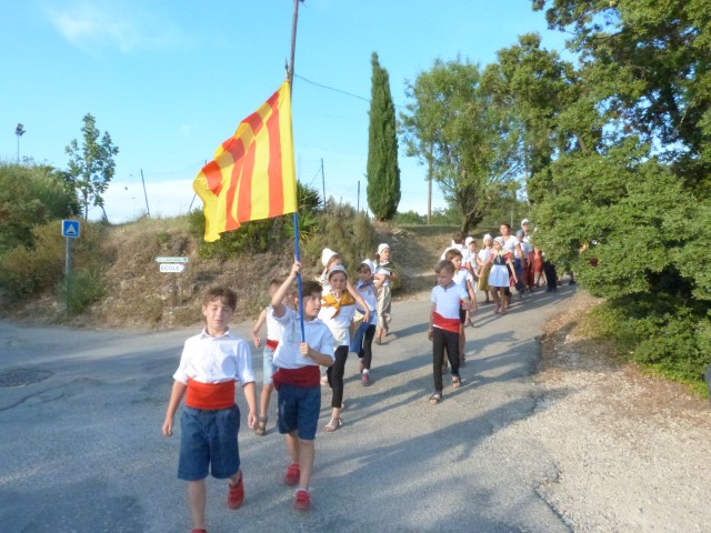 Feux 2017 La Roque sur Pernes (7).jpg