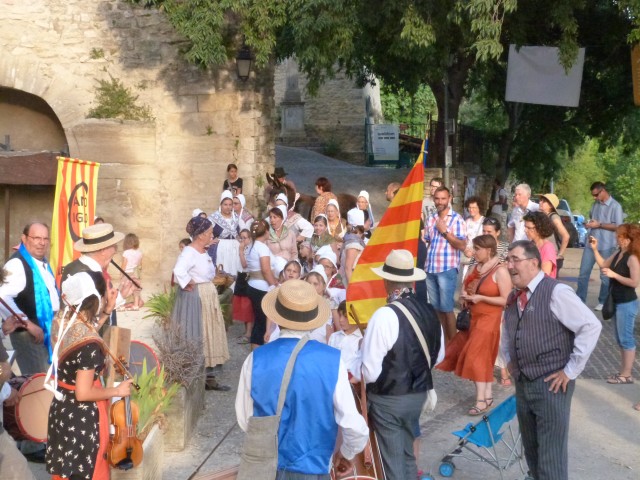 Feux 2017 La Roque sur Pernes (80).jpg