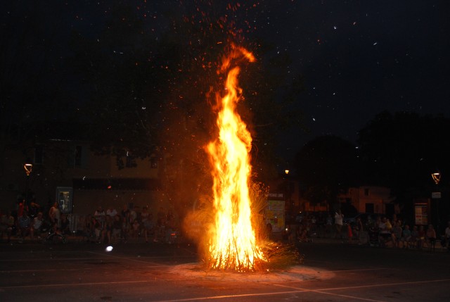 DSC_0213.jpg