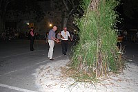 St jean le thor 2016_23.jpg St jean le thor 2016_23.jpg