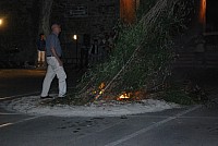 St jean le thor 2016_30.jpg St jean le thor 2016_30.jpg