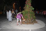 DSC_0346.jpg