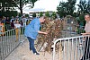st_jean_ Bedarrides_2022_41.jpg st_jean_ Bedarrides_2022_41.jpg