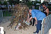st_jean_ Bedarrides_2022_44.jpg st_jean_ Bedarrides_2022_44.jpg