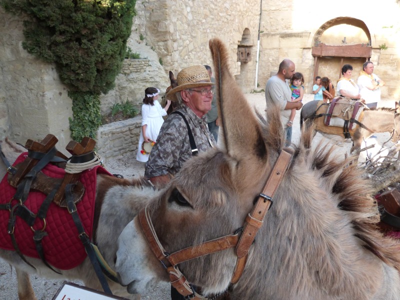 feux de la St Jean La Roque sur Pernes 25 juin 2019 (47).jpg