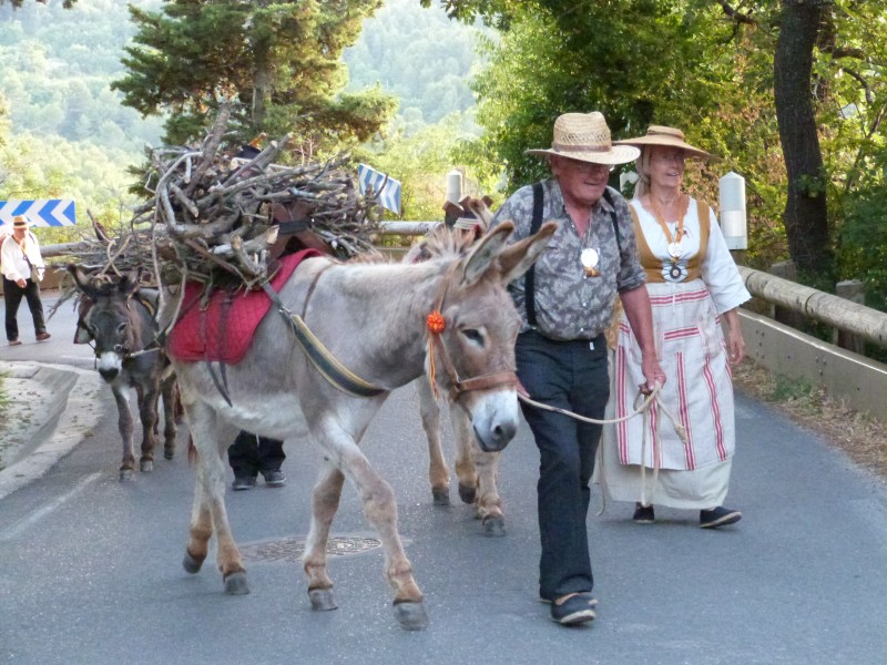 feux de la St Jean La Roque sur Pernes 25 juin 2019 (64).jpg