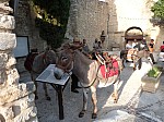 feux de la St Jean La Roque sur Pernes 25 juin 2019 (43).jpg feux de la St Jean La Roque sur Pernes 25 juin 2019 (43).jpg