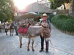 feux de la St Jean La Roque sur Pernes 25 juin 2019 (62).jpg