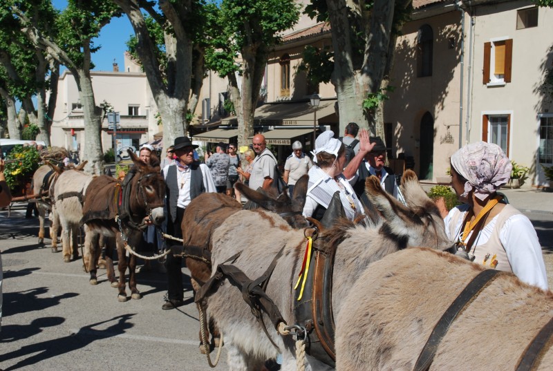 recampado_defile_2019_28.jpg