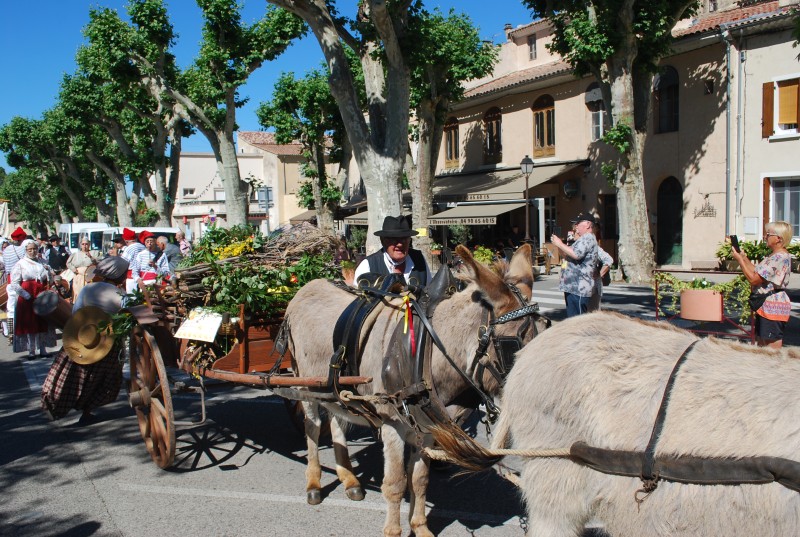 recampado_defile_2019_29.jpg