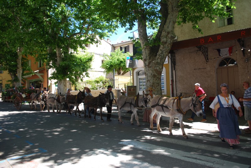 recampado_defile_2019_70.jpg