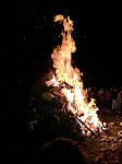 246.jpg 246.jpg