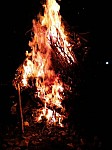 249.jpg 249.jpg