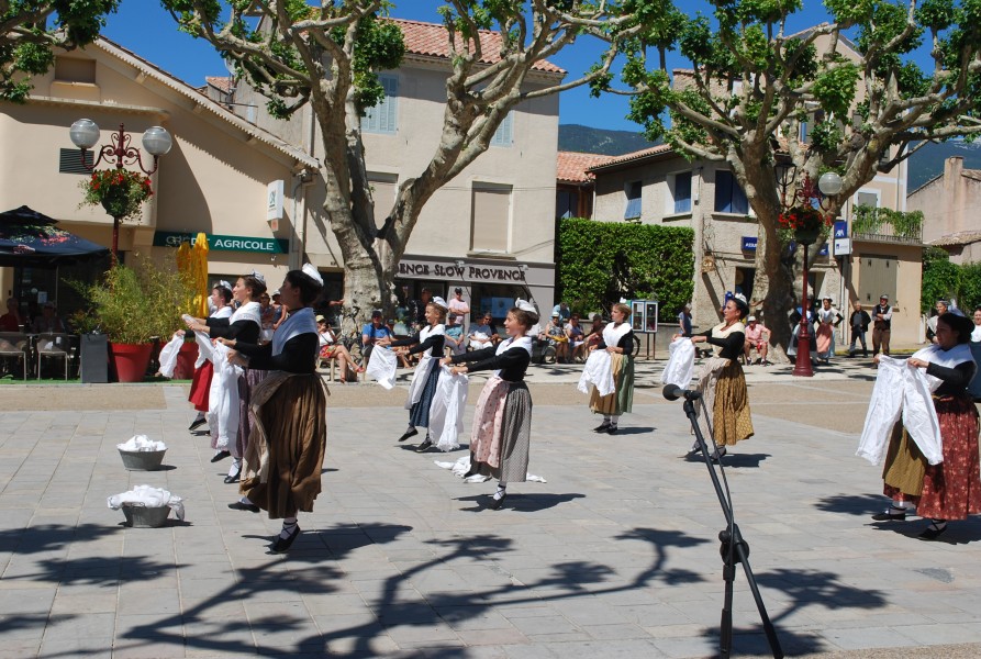 DSC_0131.jpg