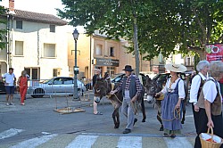 DSC_0341.jpg