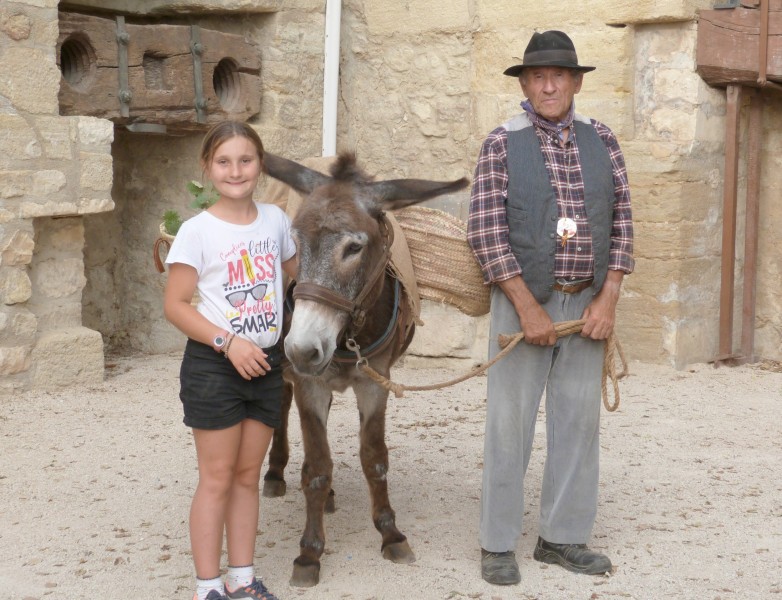 Feu La Roque 27 juin 2022 (9).jpg