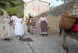 Feu La Roque 27 juin 2022 (1).jpg Feu La Roque 27 juin 2022 (1).jpg