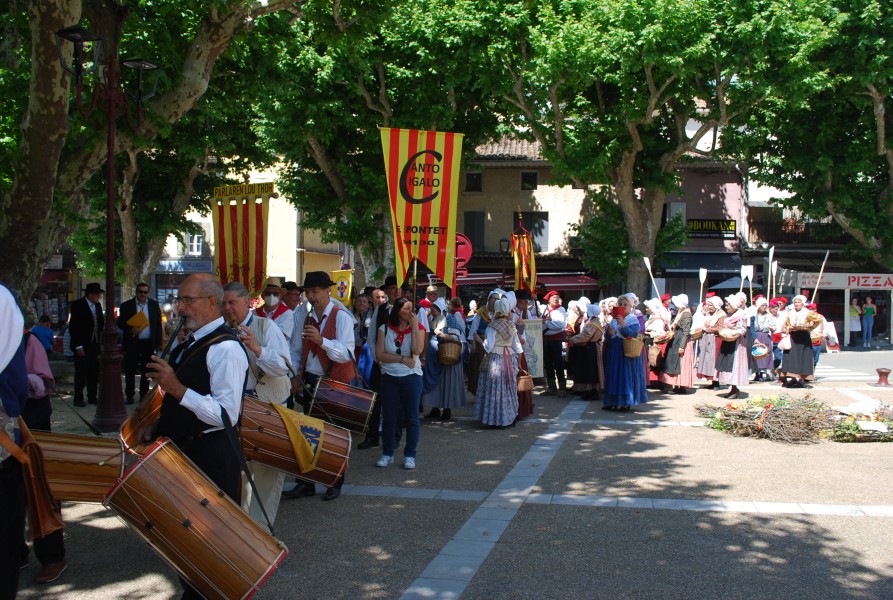 DSC_0166.jpg