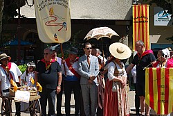 DSC_0175.jpg DSC_0175.jpg