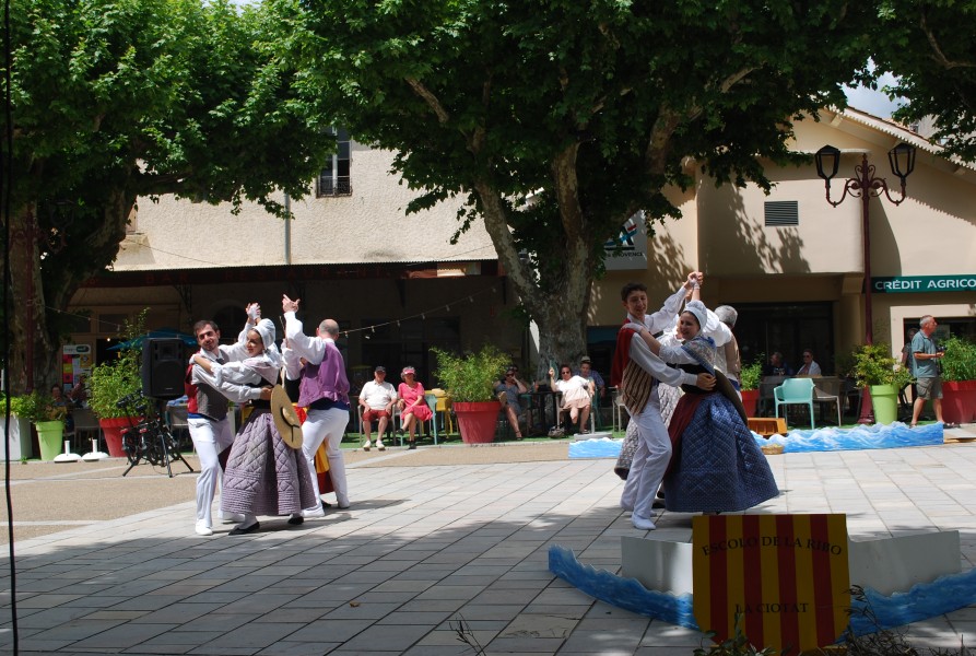 DSC_0235.jpg