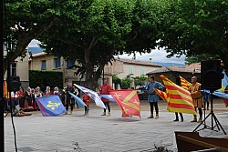 DSC_0205.jpg DSC_0205.jpg