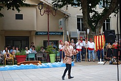 DSC_0207.jpg DSC_0207.jpg