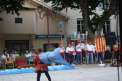 DSC_0210.jpg DSC_0210.jpg