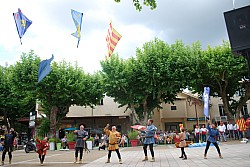 DSC_0217.jpg DSC_0217.jpg