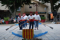 DSC_0219.jpg DSC_0219.jpg