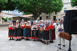 DSC_0220.jpg DSC_0220.jpg