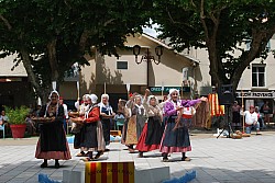 DSC_0223.jpg DSC_0223.jpg