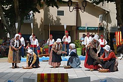 DSC_0224.jpg DSC_0224.jpg