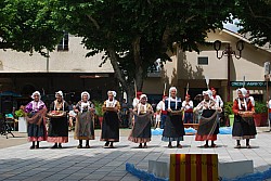 DSC_0225.jpg DSC_0225.jpg