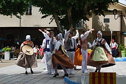 DSC_0233.jpg DSC_0233.jpg
