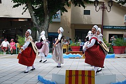 DSC_0236.jpg DSC_0236.jpg