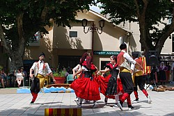 DSC_0242.jpg DSC_0242.jpg