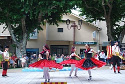 DSC_0248.jpg DSC_0248.jpg