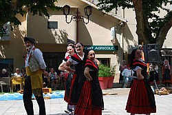 DSC_0250.jpg DSC_0250.jpg