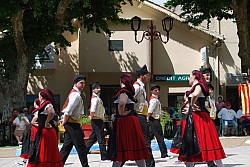 DSC_0251.jpg DSC_0251.jpg
