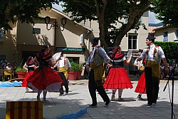 DSC_0252.jpg DSC_0252.jpg