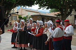 DSC_0264.jpg DSC_0264.jpg