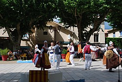 DSC_0267.jpg DSC_0267.jpg