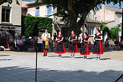DSC_0286.jpg DSC_0286.jpg