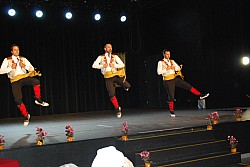 DSC_0076.jpg DSC_0076.jpg
