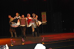 DSC_0083.jpg DSC_0083.jpg