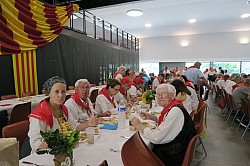 IMG_4336.jpg IMG_4336.jpg