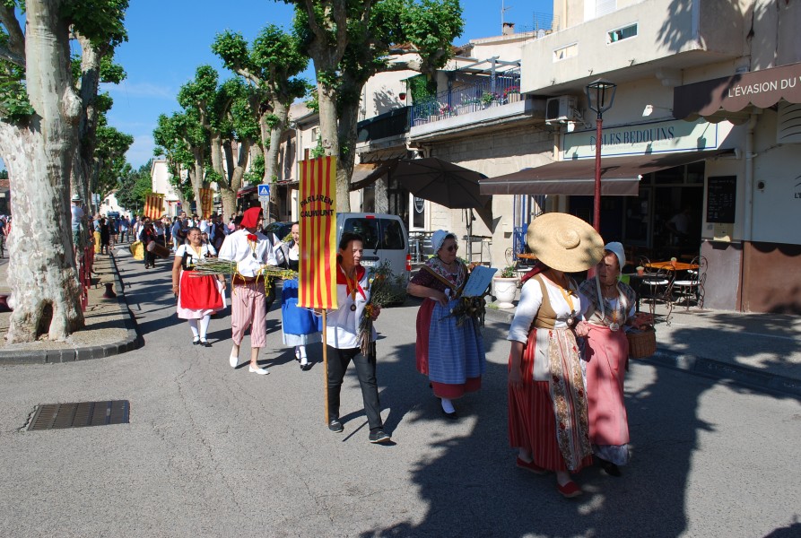 DSC_0132.jpg