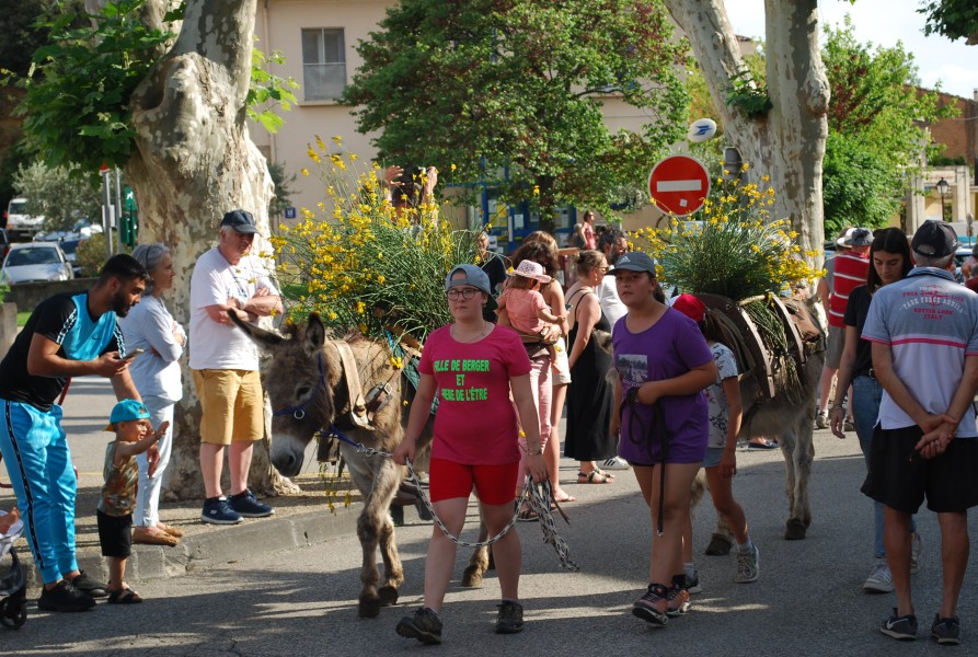 DSC_0292.jpg