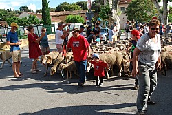 DSC_0294.jpg DSC_0294.jpg