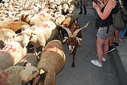 DSC_0297.jpg DSC_0297.jpg